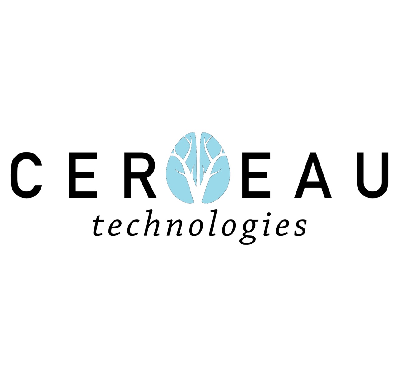 Cerveau Technologies Signs Agreement with H. Lundbeck A/S for Novel Tau Imaging Agent